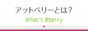 アットベリーとは？