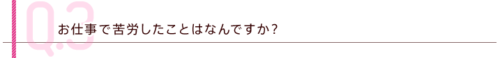 Q.3 お仕事で苦労したことはなんですか？