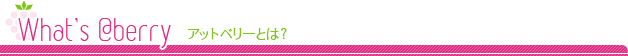 What's @berry -アットベリーとは？-